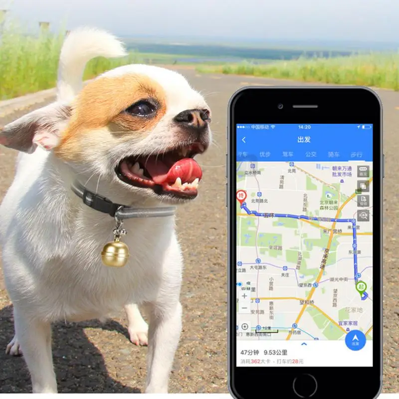 GPS-трекер для домашних животных, умный локатор, Водонепроницаемое устройство защиты от потери, Носимый GPS-позиционирующий ошейник, приложение для сигнализации, GPS-трекер для кошки, собаки 4