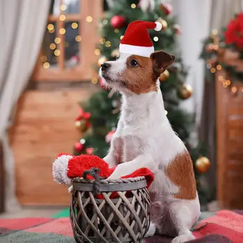 Рождественская шляпа в полоску для домашних животных, разноцветные головные уборы для кошек и собак, зоотовары для декора Рождественской вечеринки