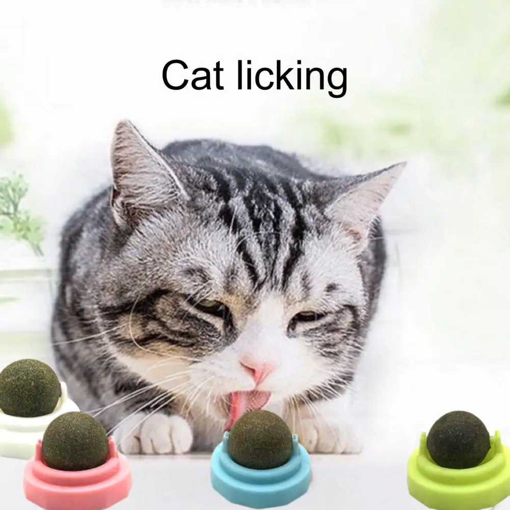 Безопасная игрушка для вылизывания кошек, легко наклеиваемая, повышающая аппетит, удобные игрушки для чистки мятого шарика для кошек 1