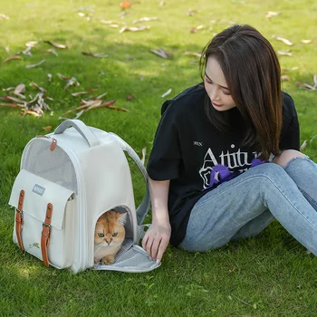 Портативный дышащий рюкзак для кошек, товары для собак, школьный рюкзак для кошек, Летняя сумка для домашних животных, переноска