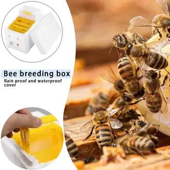 Пчелиный улей для опыления Королевских пчел, Ящик для улья, Инструменты для пчеловодства, принадлежности для Пчеловода
