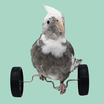 Игрушка для дрессировки попугаев на балансировочном велосипеде, интерактивный рядный ролик, игрушечная клетка для птиц, Попугайчики, клетка для дрессировки птиц, спортивные принадлежности