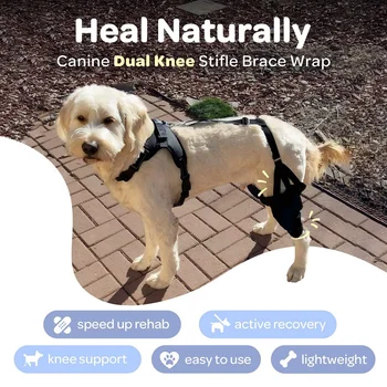 Наколенник для собак для поддержки при повреждении крестообразных связок, болях в суставах и мышцах, для лучшего восстановления С наколенником ACL для собак